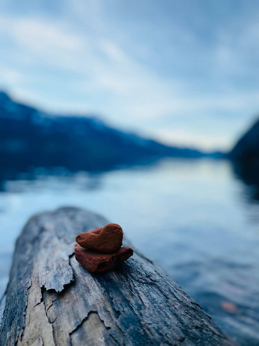 heart-on-log