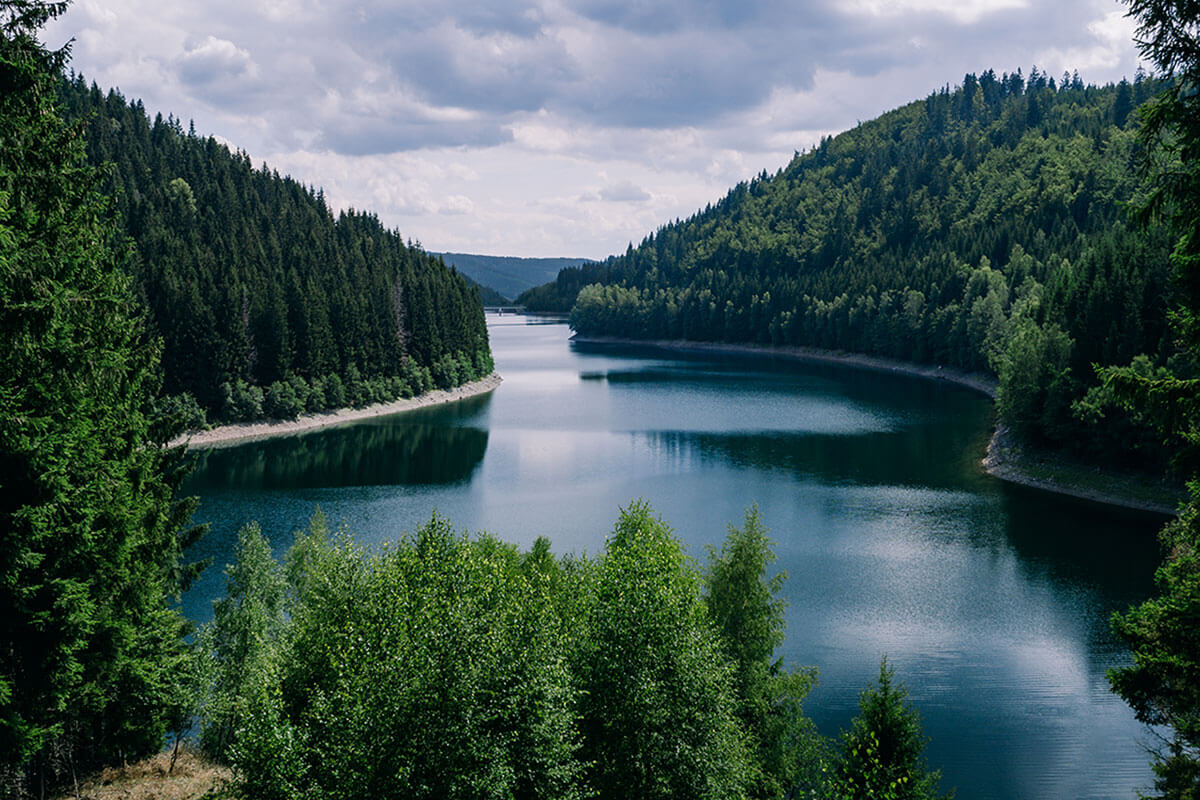 river-trees