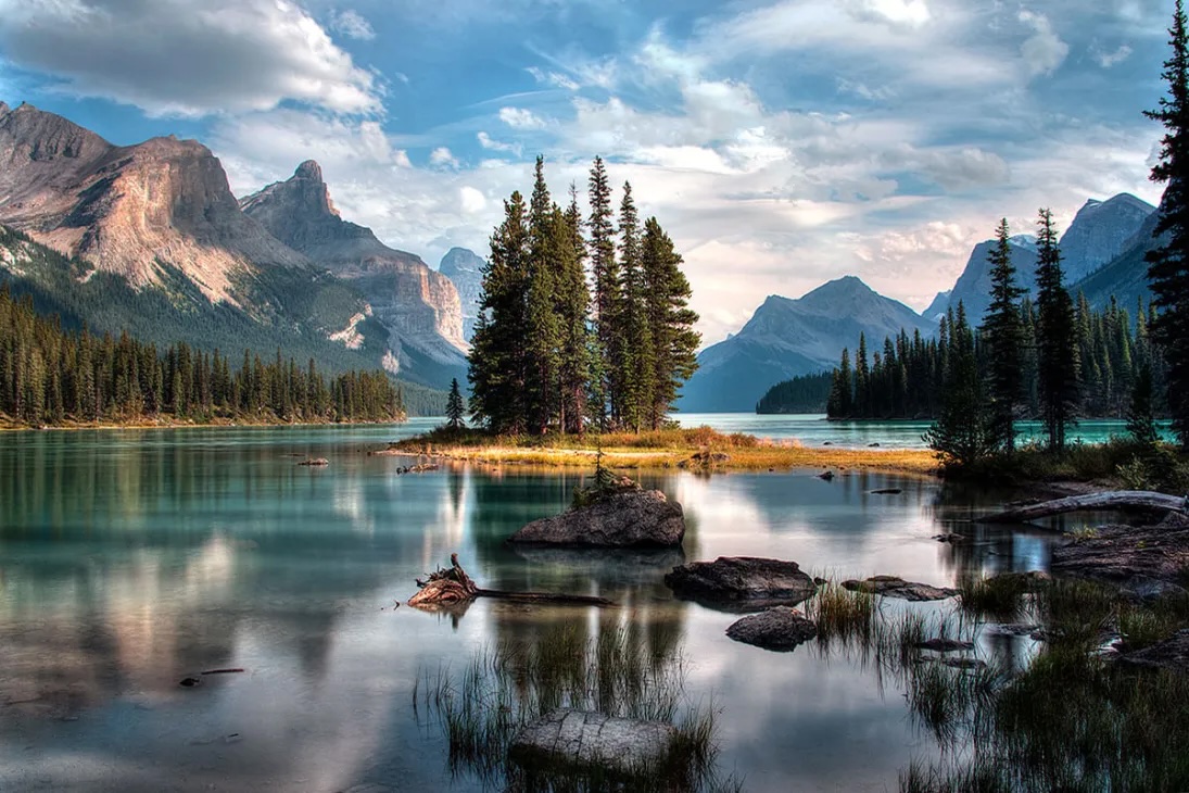 what-trees-mountain-sun