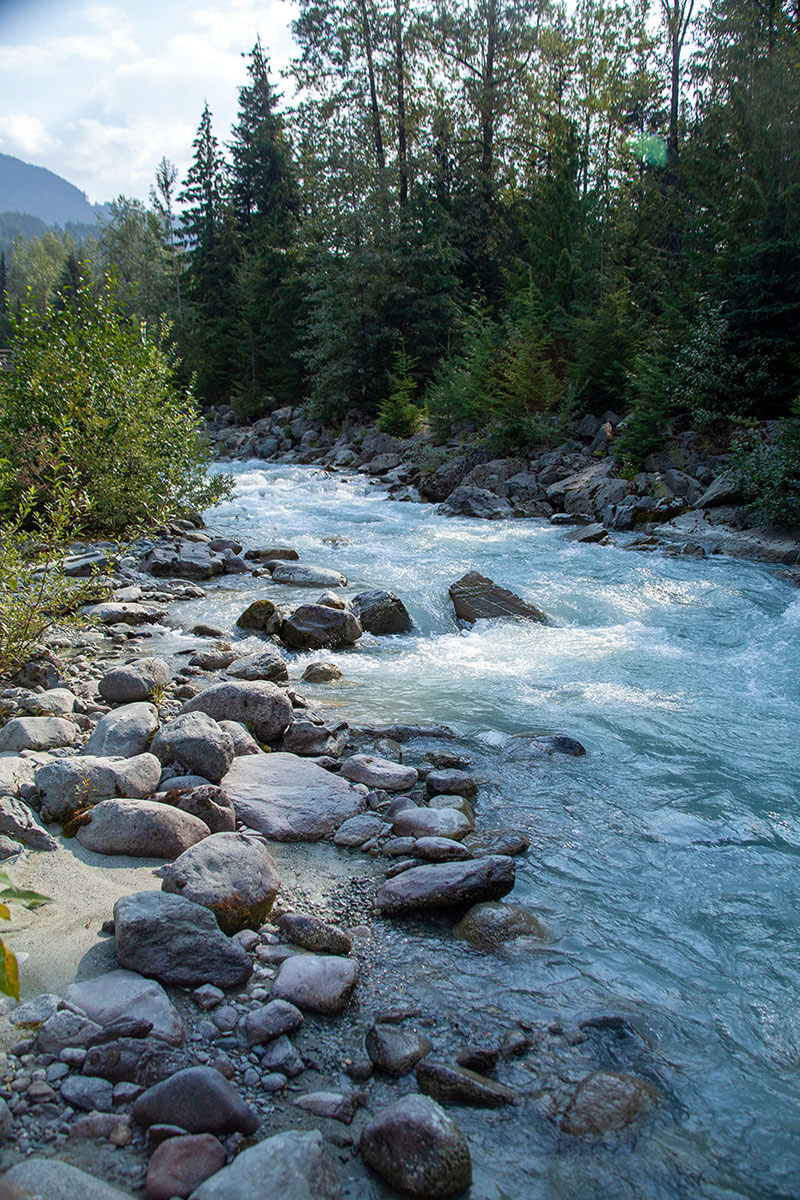 Gentle river representing therapeutic reflection and mindfulness