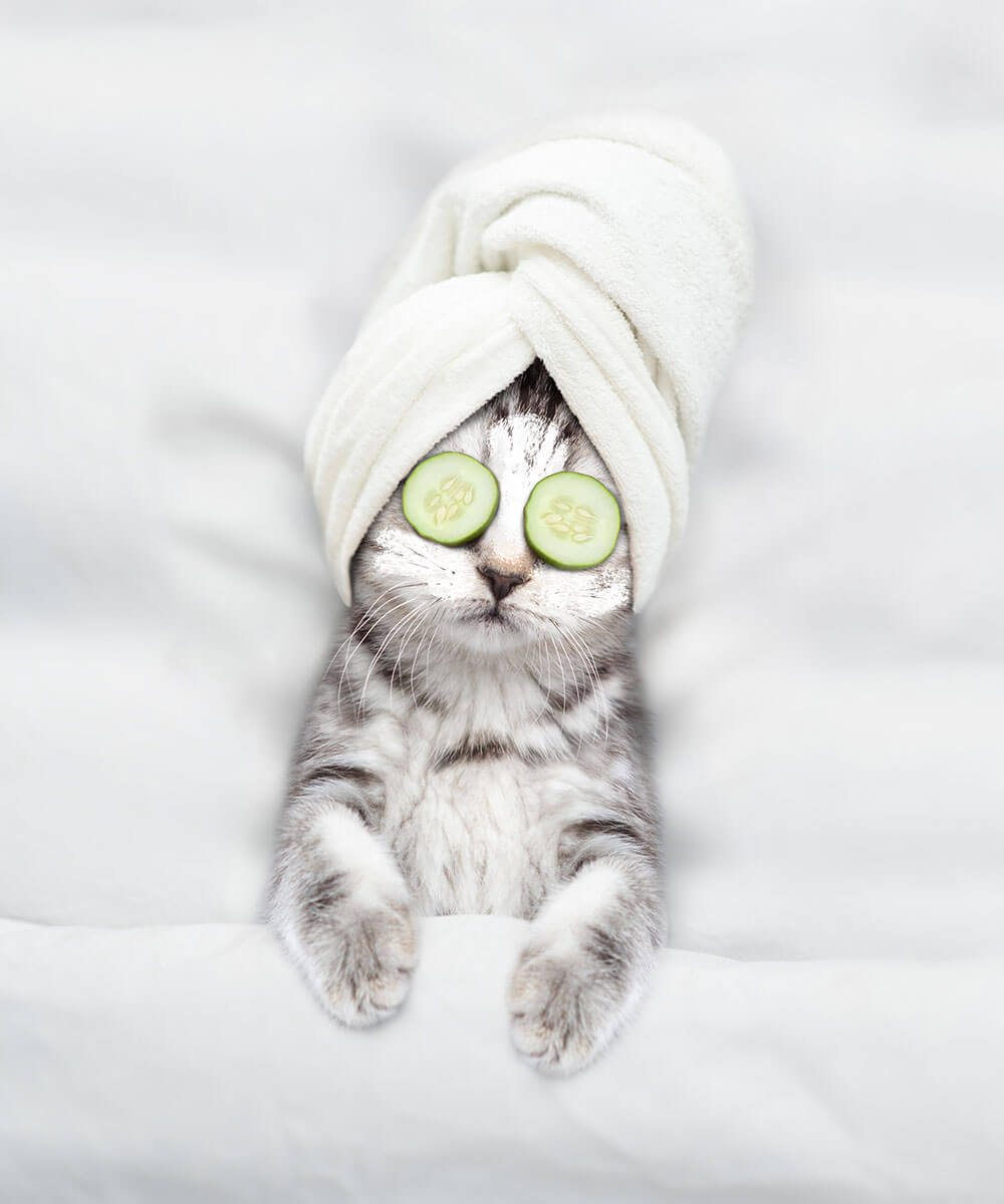 Covering eyes while lying in bed, overwhelmed by sleeplessness
